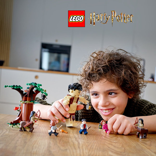 LEGO® Harry Potter 75967 Der Verbotene Wald: Begegnung mit Umbridge