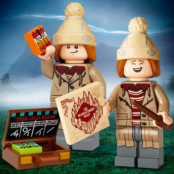 LEGO® Minifigures 71028 Harry Potter Minifiguren Serie 2