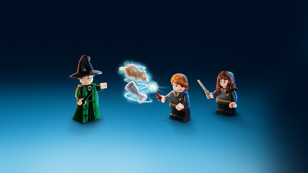 LEGO® Harry Potter 76382 Hogwarts Moment: Verwandlungsunterricht